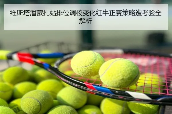 维斯塔潘蒙扎站排位调校变化红牛正赛策略遭考验全解析