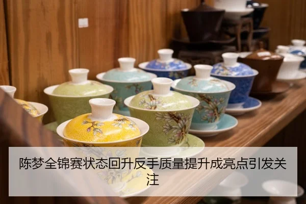 陈梦全锦赛状态回升反手质量提升成亮点引发关注